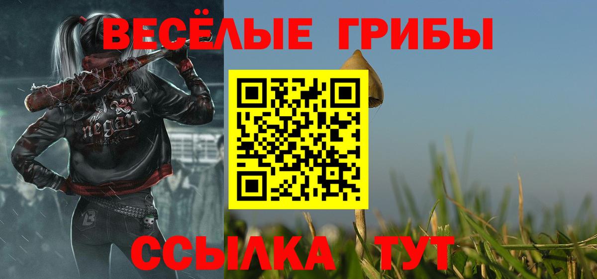 Псилоцибиновые грибы GOLDEN TEACHER  что такое   Кубинка  Вход с VPN  Псилоцибиновые грибы Psilocybe 